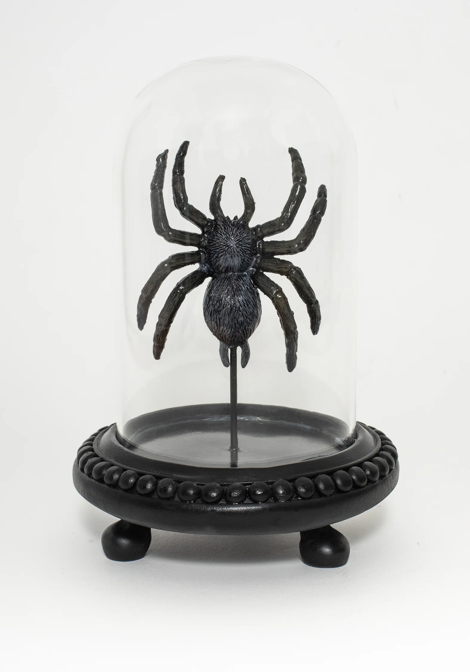 Arachne Spinne In Jar - Image 2