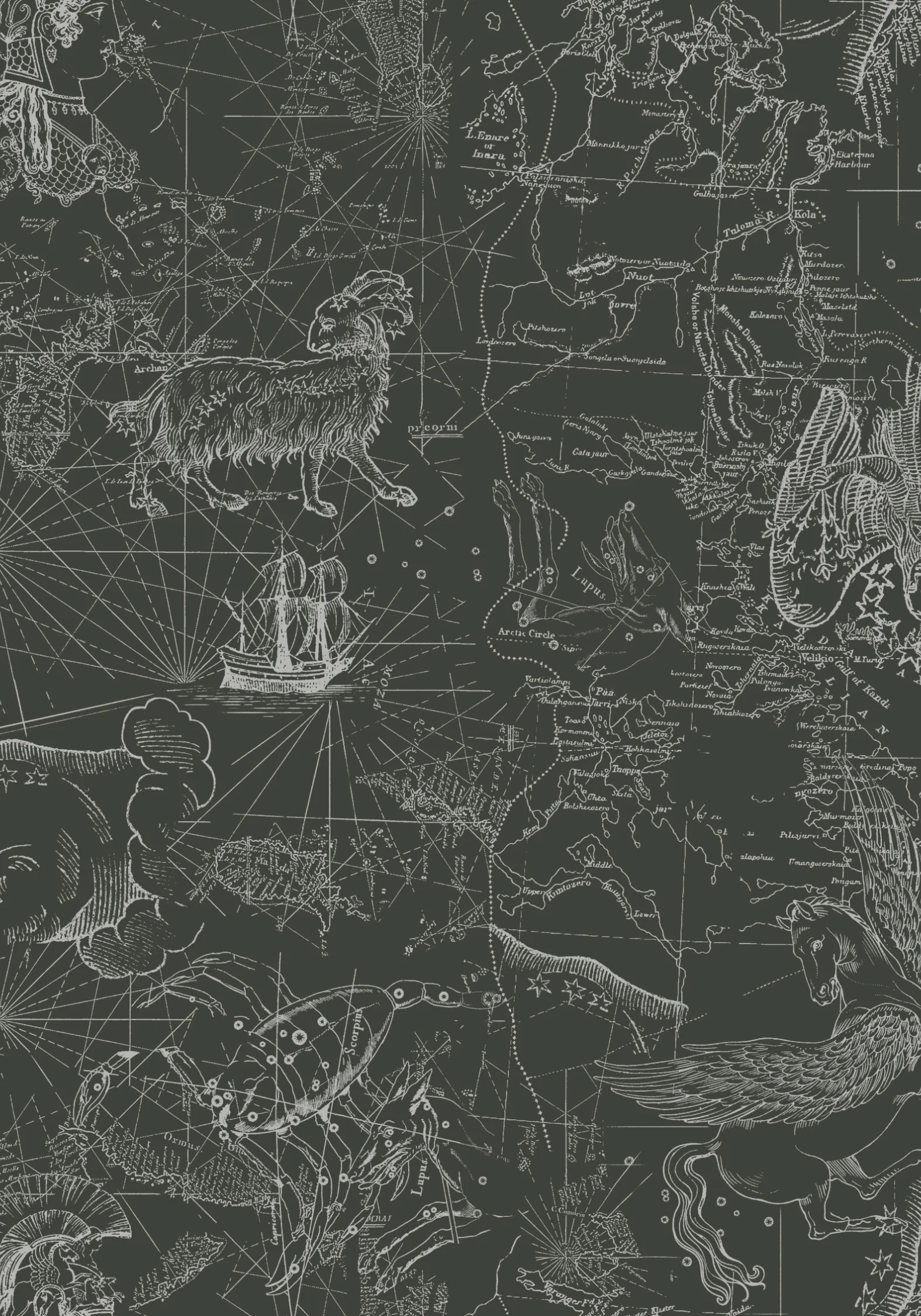 Kosmara Map Print Midi Skirt - Image 6