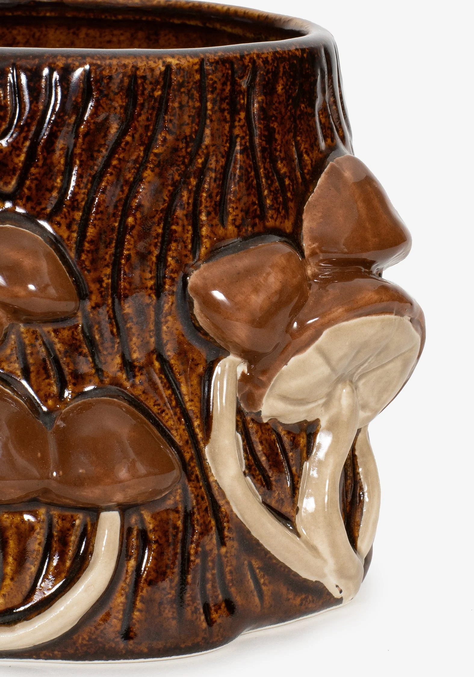 Mortierella Pilz Becher - Image 3
