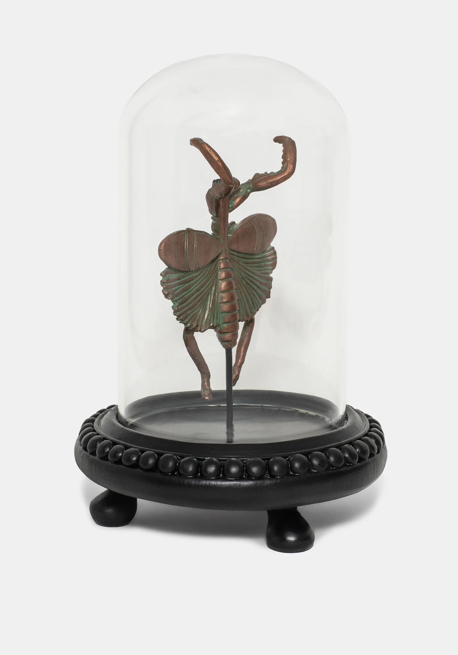 Nerissa Käfer In Jar - Bronze & Grün - Image 6