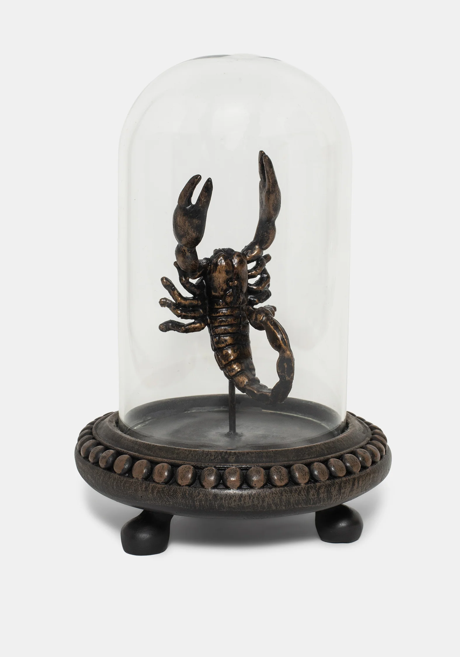 Skara Skorpion In Jar - Image 2