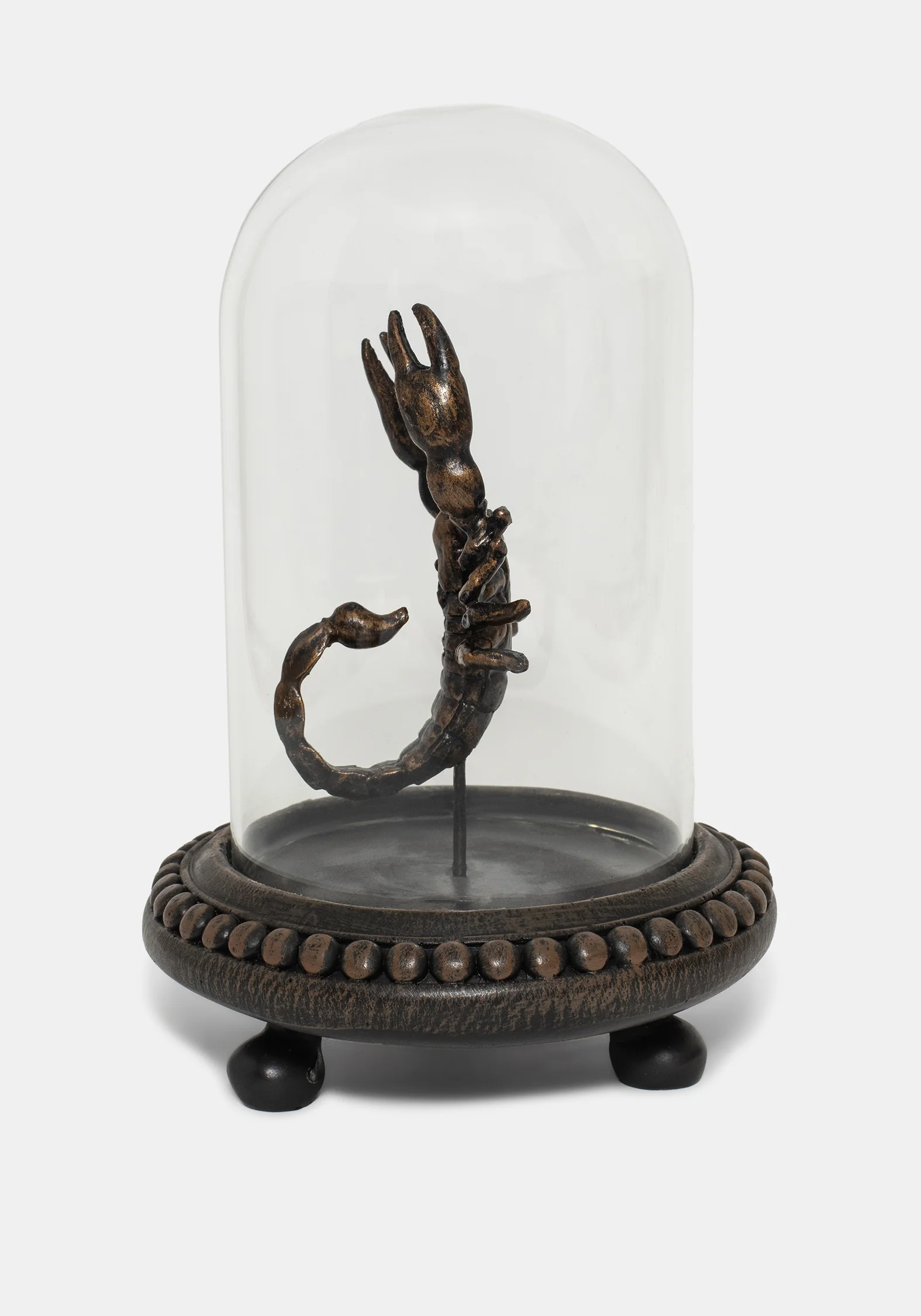 Skara Skorpion In Jar - Image 5